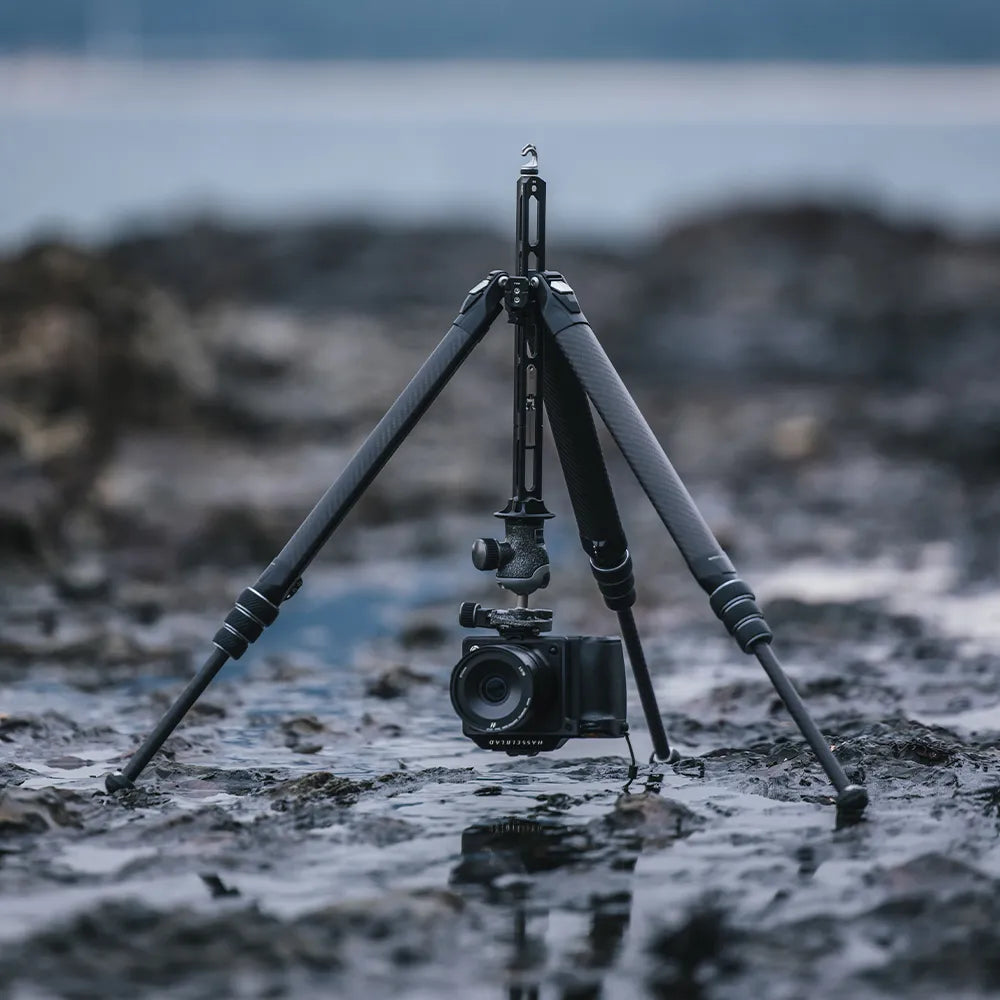 FALCAM TreeRoot Quick Lock Travel Tripod R141K-A130