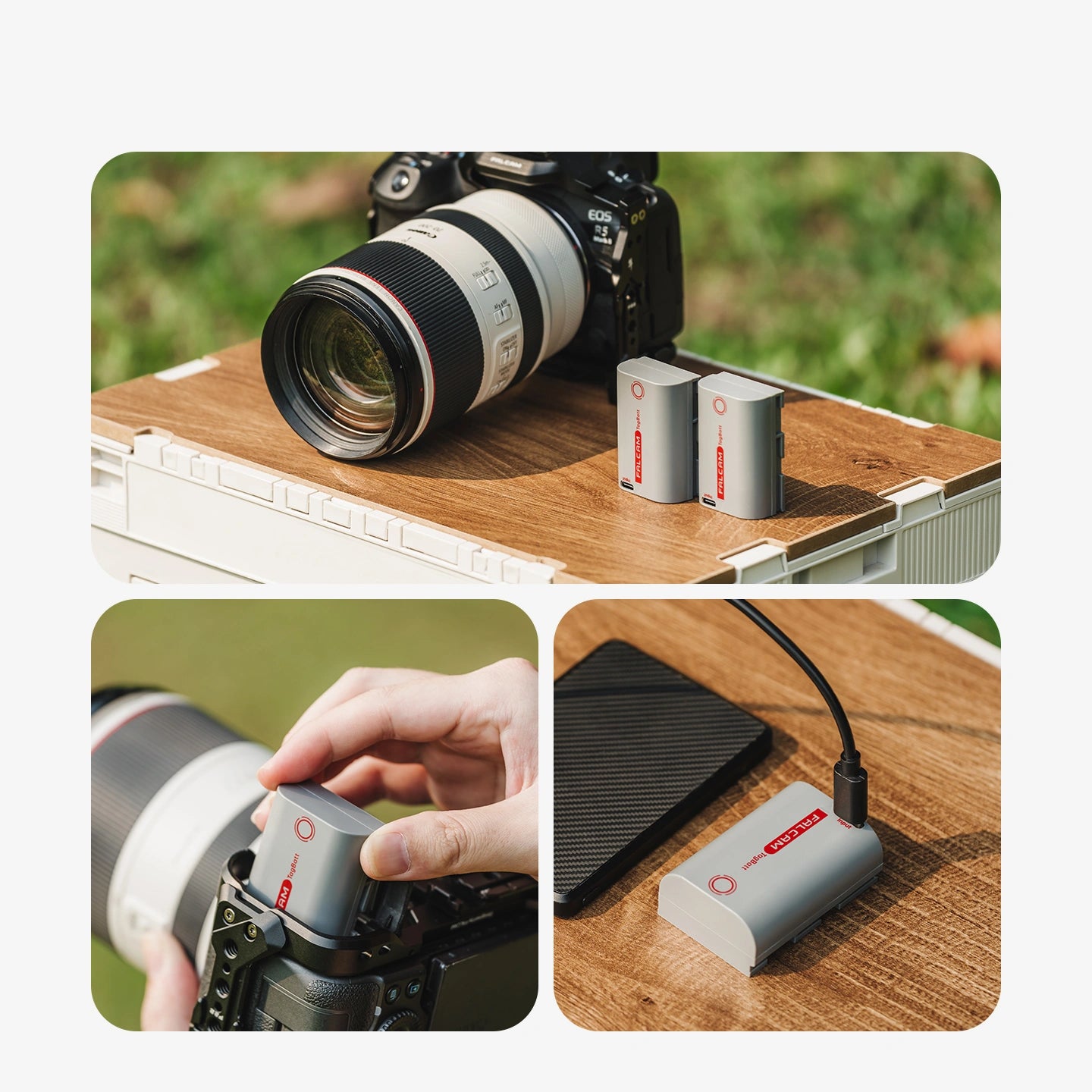 FALCAM TagBatt Direct-Charge Camera Battery Compatible with Canon LP-E6