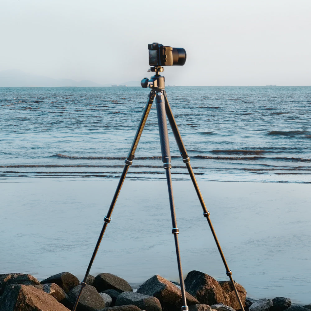 TreeRoot Carbon Fiber Small Tripod R140T, 4-Section Legs,Quick Lock Tripod Only-T00A4904