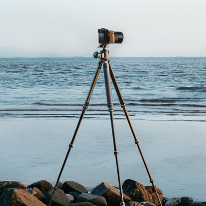 TreeRoot Carbon Fiber Small Tripod R140T, 4-Section Legs,Quick Lock Tripod Only-T00A4904