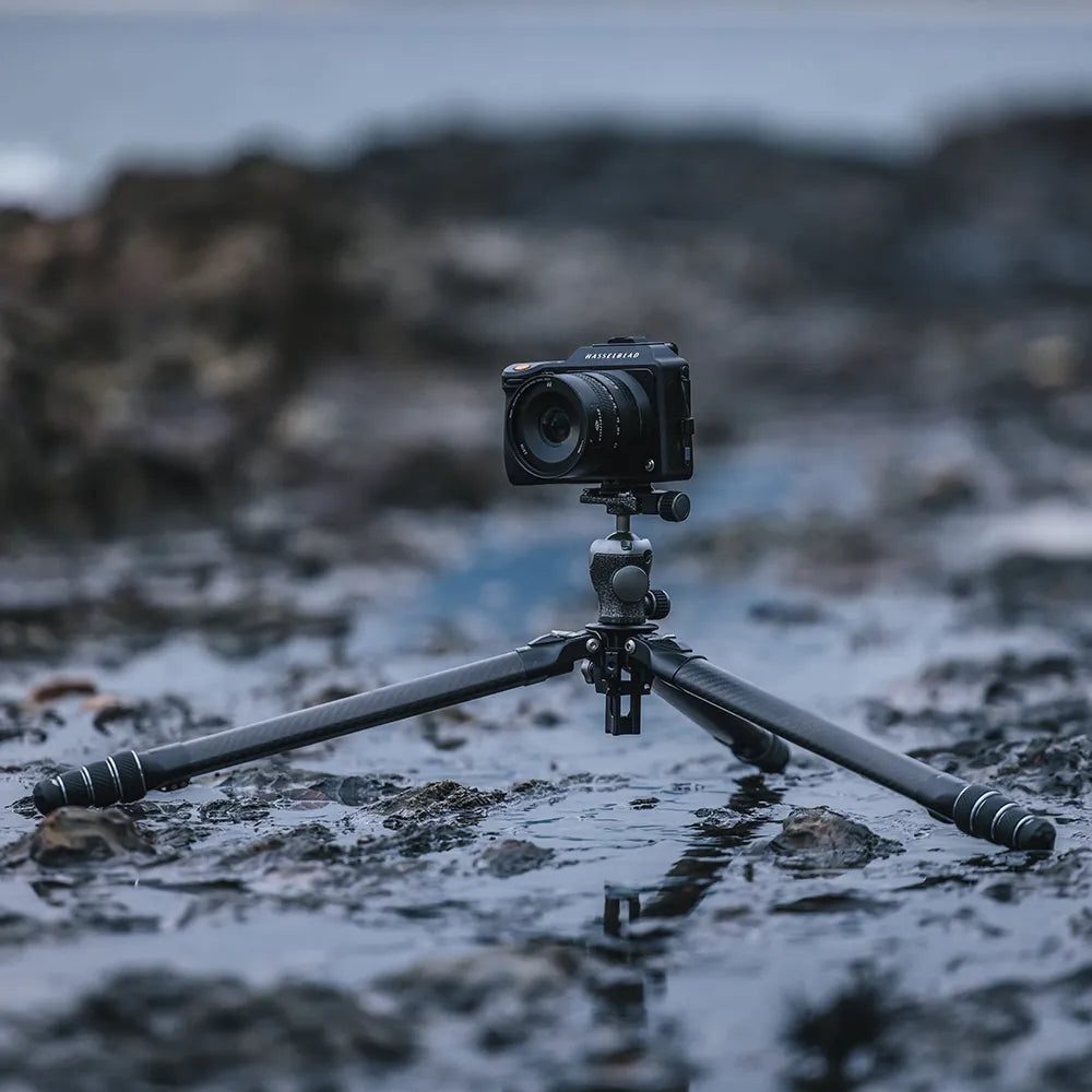 FALCAM TreeRoot Quick Lock Travel Tripod R141K-A130