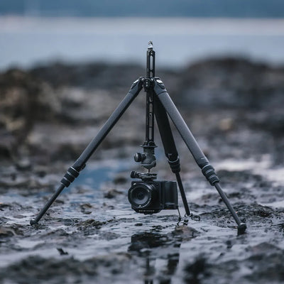 FALCAM TreeRoot Quick Lock Travel Tripod R141K-A130