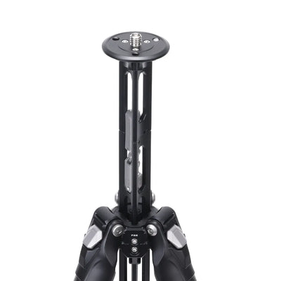FALCAM TreeRoot Quick Lock Travel Tripod T00A4301
